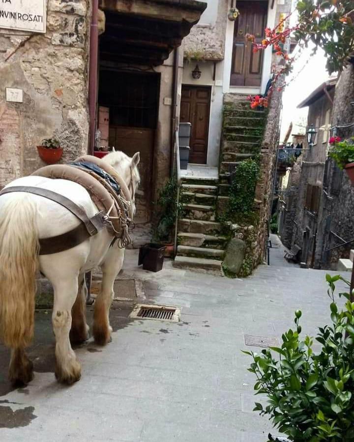 Casetta Nel Borgo Apartment *