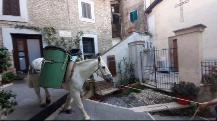Apartment Casetta Nel Borgo *