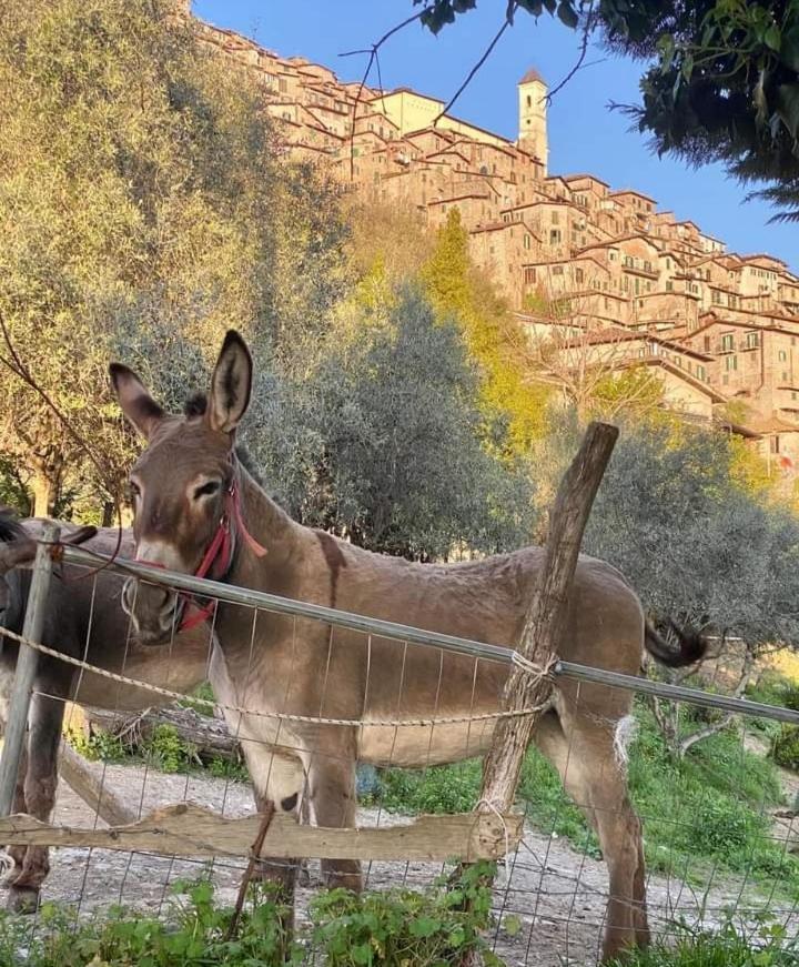 Casetta Nel Borgo Apartment